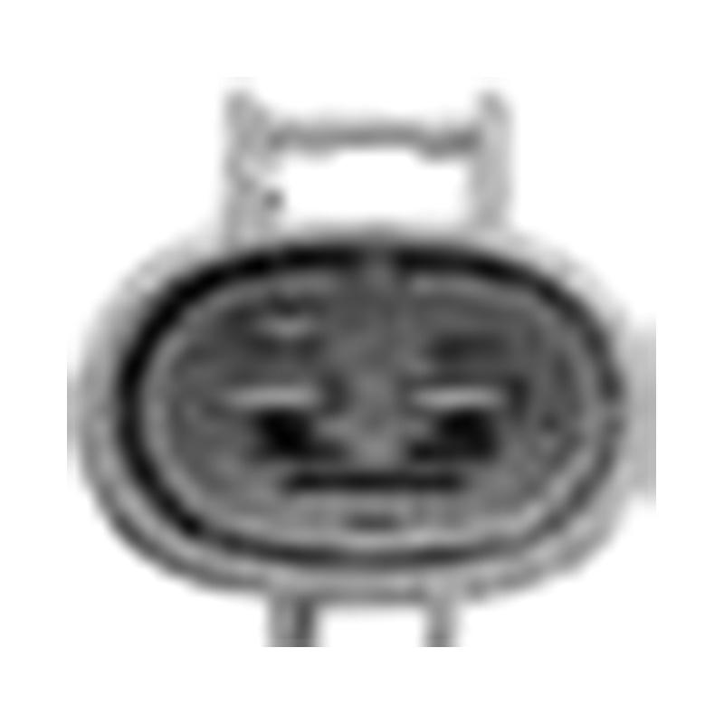 شركة هانغتشو جولدن صن لقطع غيار السيارات المحدودة