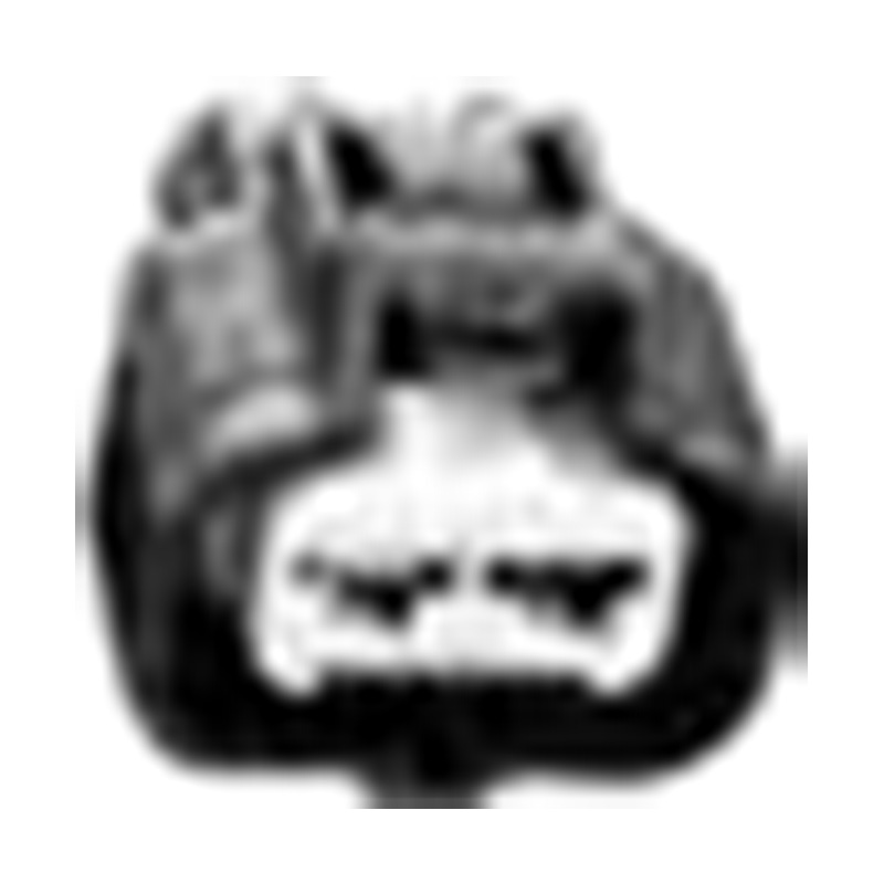 شركة هانغتشو جولدن صن لقطع غيار السيارات المحدودة