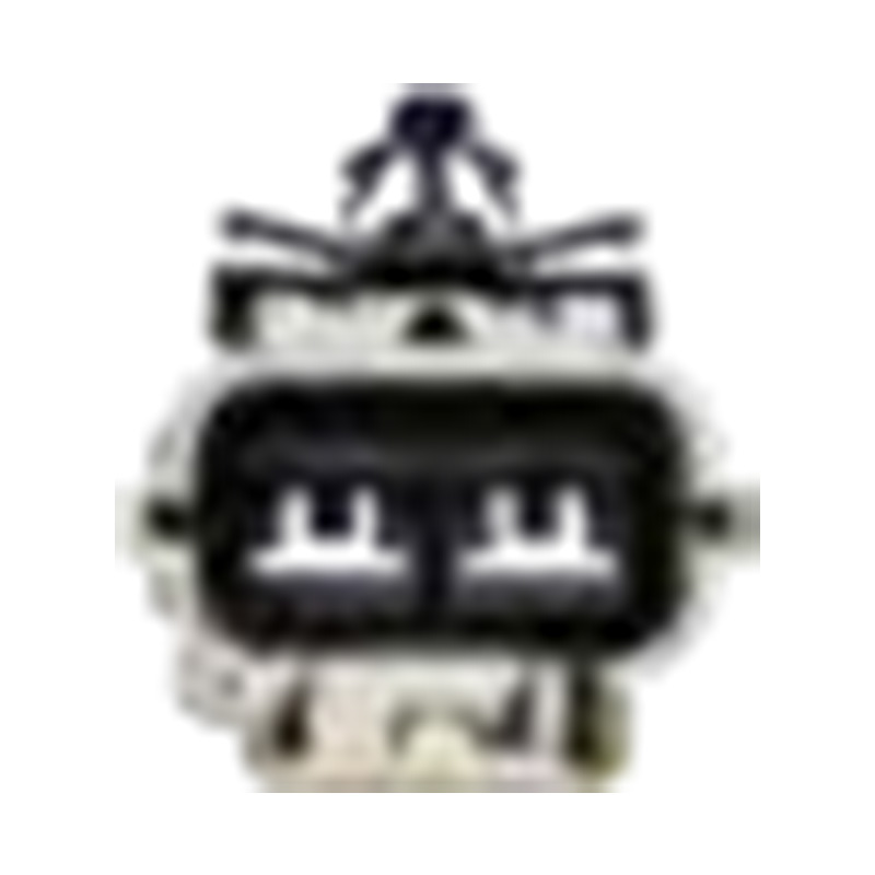 شركة هانغتشو جولدن صن لقطع غيار السيارات المحدودة