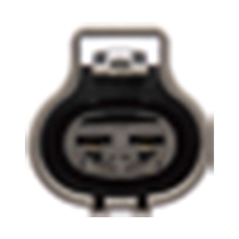 شركة هانغتشو جولدن صن لقطع غيار السيارات المحدودة